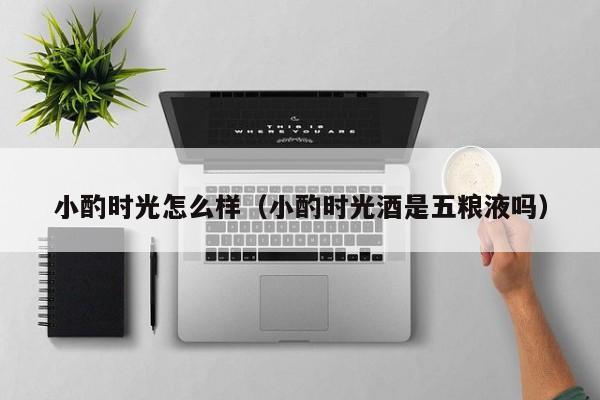 小酌时光怎么样(小酌时光酒是五粮液吗)