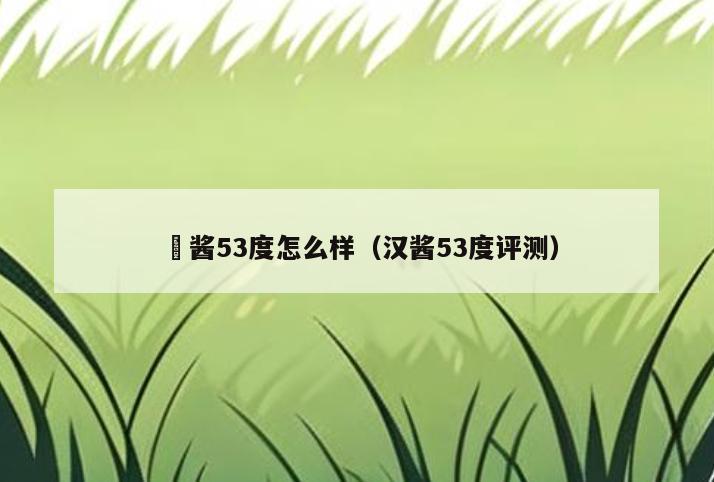 漢酱53度怎么样(汉酱53度评测)