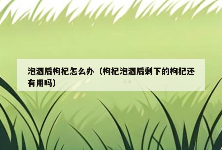 泡酒后枸杞怎么办(枸杞泡酒后剩下的枸杞还有用吗)