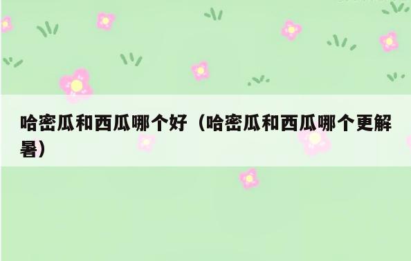 哈密瓜和西瓜哪个好(哈密瓜和西瓜哪个更解暑)
