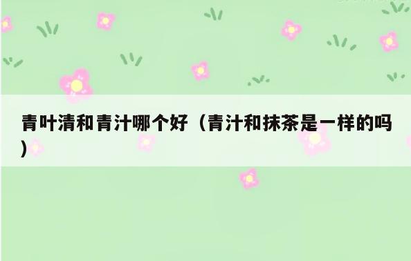青叶清和青汁哪个好(青汁和抹茶是一样的吗)