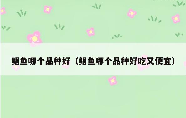 鲳鱼哪个品种好(鲳鱼哪个品种好吃又便宜)