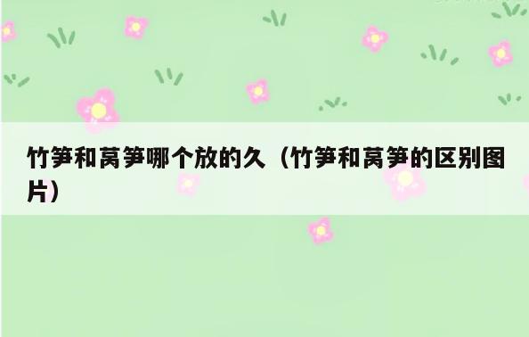 竹笋和莴笋哪个放的久(竹笋和莴笋的区别图片)