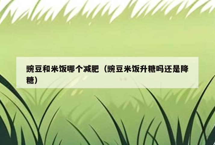 豌豆和米饭哪个减肥(豌豆米饭升糖吗还是降糖)