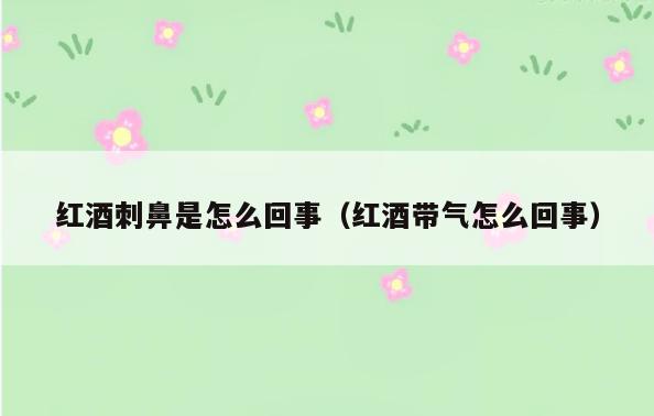 红酒刺鼻是怎么回事(红酒带气怎么回事)