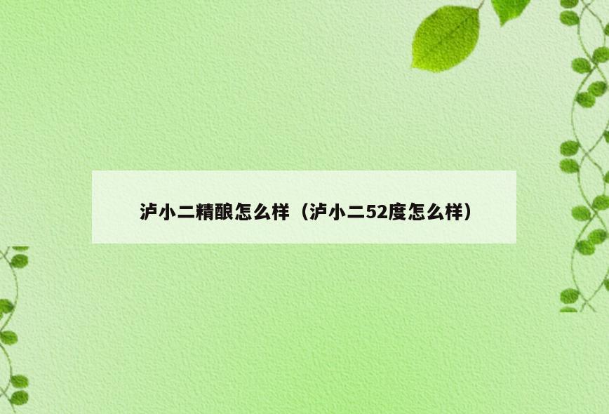 泸小二精酿怎么样(泸小二52度怎么样)