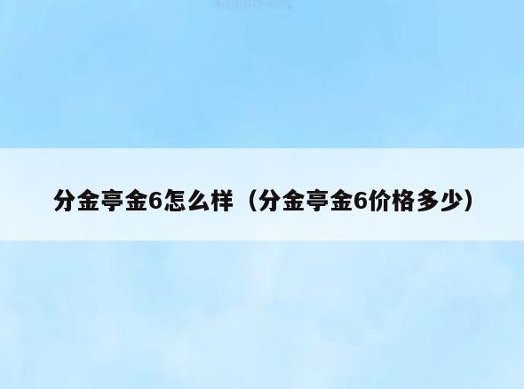 分金亭金6怎么样(分金亭金6价格多少)