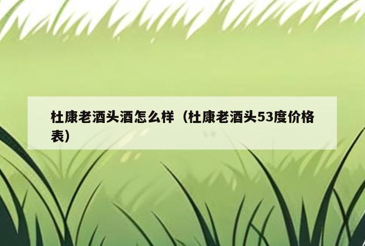 杜康老酒头酒怎么样(杜康老酒头53度价格表)