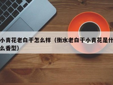 小青花老白干怎么样（衡水老白干小青花是什么香型）