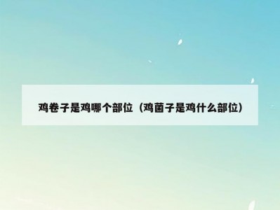 鸡卷子是鸡哪个部位（鸡菌子是鸡什么部位）
