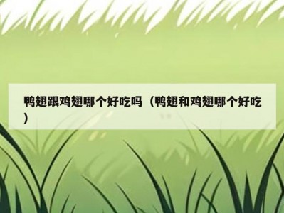 鸭翅跟鸡翅哪个好吃吗（鸭翅和鸡翅哪个好吃）