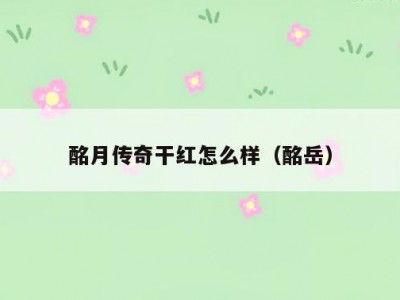 酩月传奇干红怎么样（酩岳）