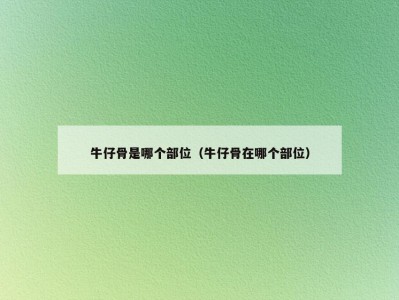 牛仔骨是哪个部位（牛仔骨在哪个部位）