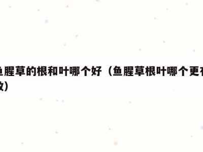 鱼腥草的根和叶哪个好（鱼腥草根叶哪个更有效）
