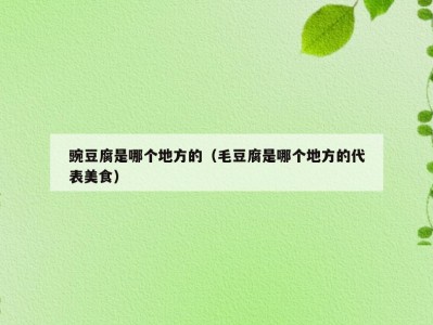 豌豆腐是哪个地方的（毛豆腐是哪个地方的代表美食）