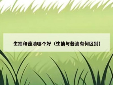 生抽和酱油哪个好（生抽与酱油有何区别）