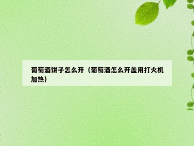 葡萄酒饼子怎么开（葡萄酒怎么开盖用打火机加热）
