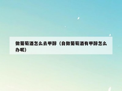 做葡萄酒怎么去甲醇（自做葡萄酒有甲醇怎么办呢）