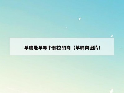 羊腩是羊哪个部位的肉（羊腩肉图片）
