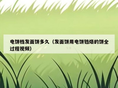 电饼档发面饼多久（发面饼用电饼铛烙的饼全过程视频）
