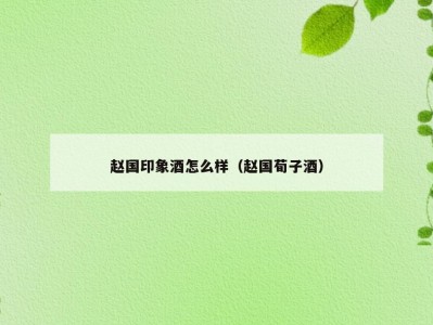 赵国印象酒怎么样（赵国荀子酒）