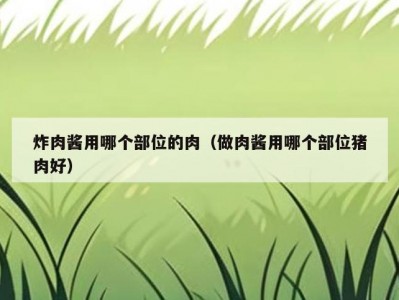 炸肉酱用哪个部位的肉（做肉酱用哪个部位猪肉好）