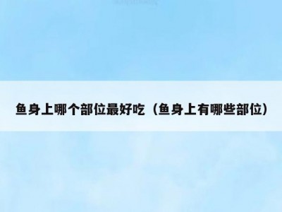 鱼身上哪个部位最好吃（鱼身上有哪些部位）