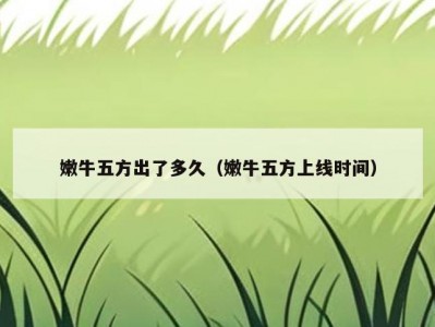 嫩牛五方出了多久（嫩牛五方上线时间）