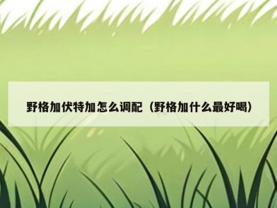 野格加伏特加怎么调配（野格加什么最好喝）