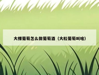 大棵葡萄怎么做葡萄酒（大粒葡萄叫啥）