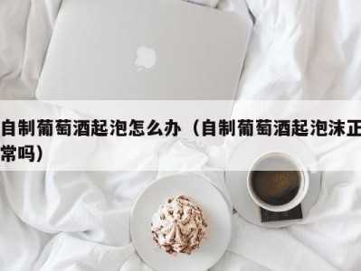 自制葡萄酒起泡怎么办（自制葡萄酒起泡沫正常吗）