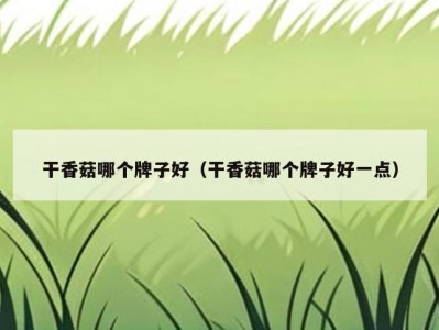 干香菇哪个牌子好（干香菇哪个牌子好一点）