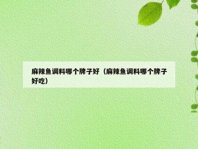 麻辣鱼调料哪个牌子好（麻辣鱼调料哪个牌子好吃）
