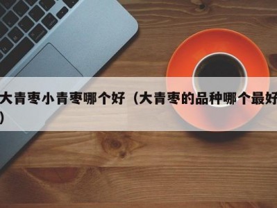 大青枣小青枣哪个好（大青枣的品种哪个最好）