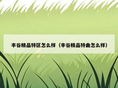 丰谷精品特区怎么样（丰谷精品特曲怎么样）