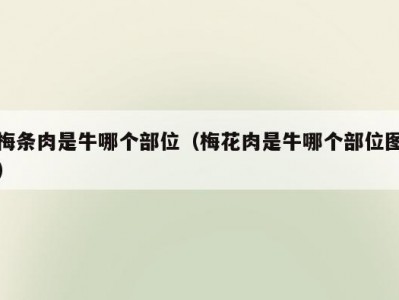 梅条肉是牛哪个部位（梅花肉是牛哪个部位图）