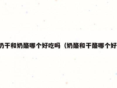 奶干和奶酪哪个好吃吗（奶酪和干酪哪个好）