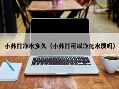 小苏打净水多久（小苏打可以净化水质吗）