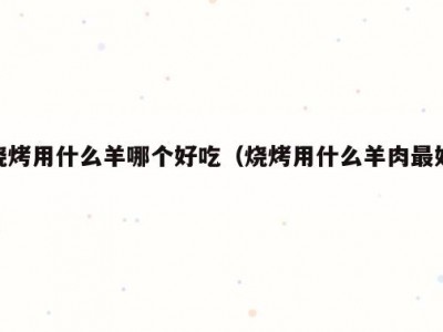 烧烤用什么羊哪个好吃（烧烤用什么羊肉最好）