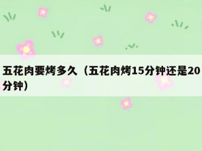 五花肉要烤多久（五花肉烤15分钟还是20分钟）