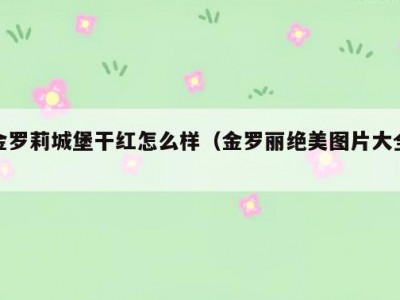 金罗莉城堡干红怎么样（金罗丽绝美图片大全）