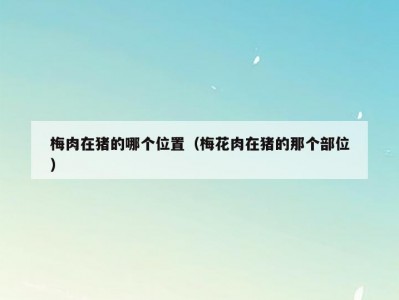 梅肉在猪的哪个位置（梅花肉在猪的那个部位）