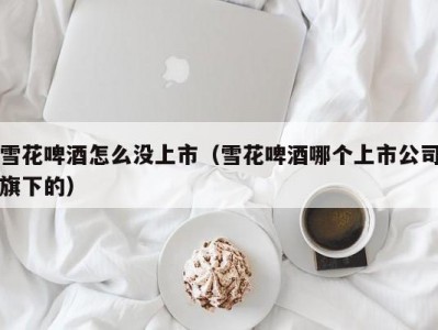 雪花啤酒怎么没上市（雪花啤酒哪个上市公司旗下的）