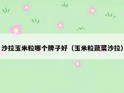 沙拉玉米粒哪个牌子好（玉米粒蔬菜沙拉）