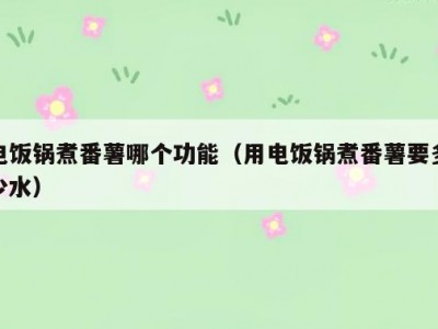 电饭锅煮番薯哪个功能（用电饭锅煮番薯要多少水）