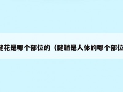 腱花是哪个部位的（腱鞘是人体的哪个部位）