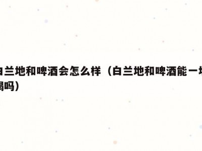 白兰地和啤酒会怎么样（白兰地和啤酒能一块喝吗）