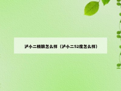 泸小二精酿怎么样（泸小二52度怎么样）
