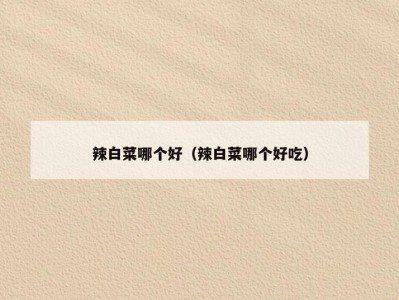 辣白菜哪个好（辣白菜哪个好吃）
