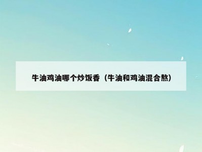 牛油鸡油哪个炒饭香（牛油和鸡油混合熬）